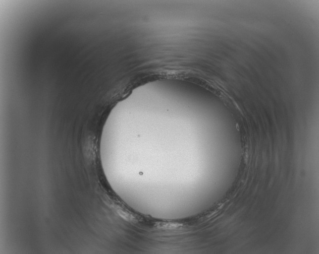 X0000073710476200608031045