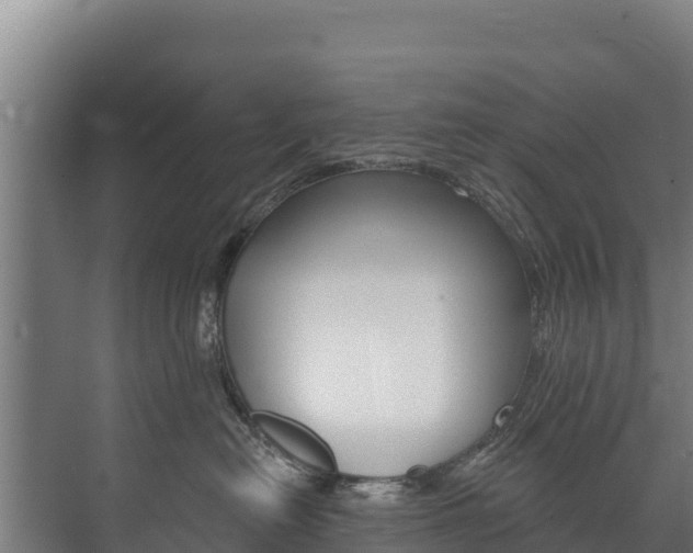 X0000073710478200608031045