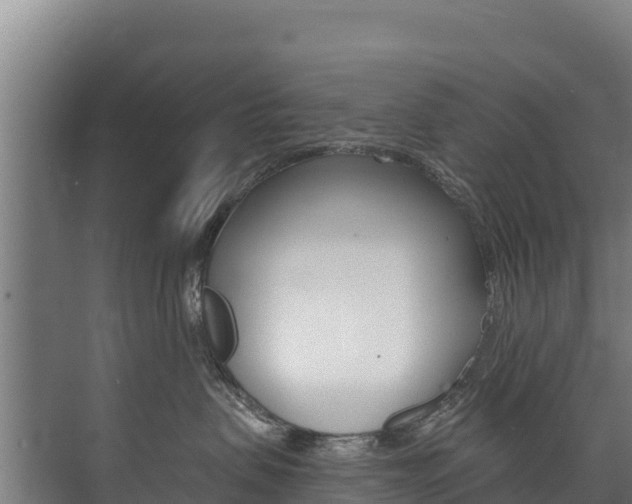 X0000073710479200608031045