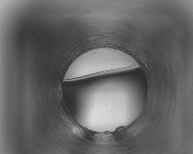 X0000073710480200608031045