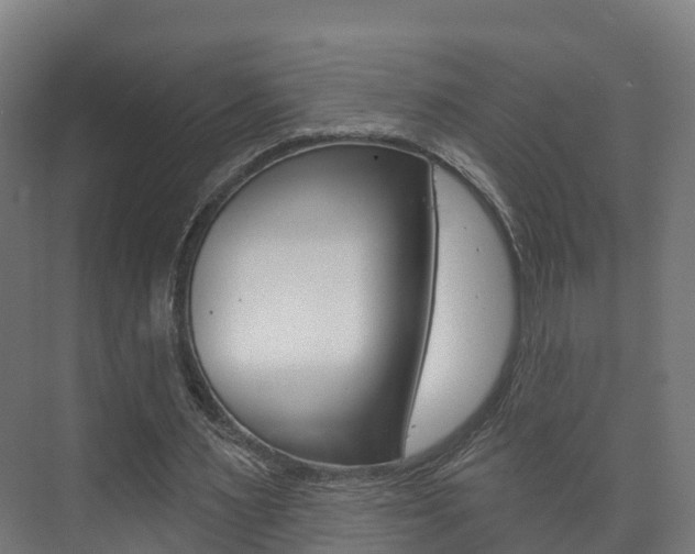 X0000073710483200608031044