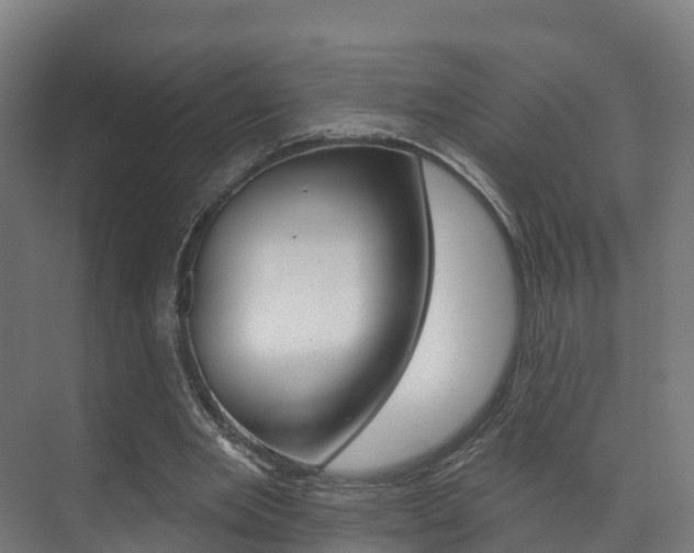 X0000073710485200608031044