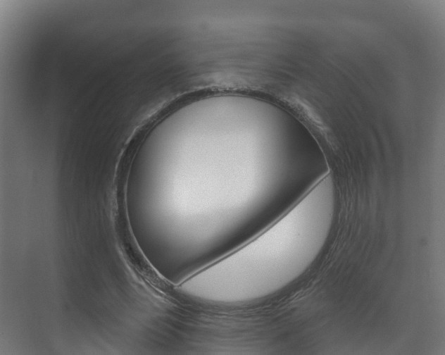 X0000073710488200608031044