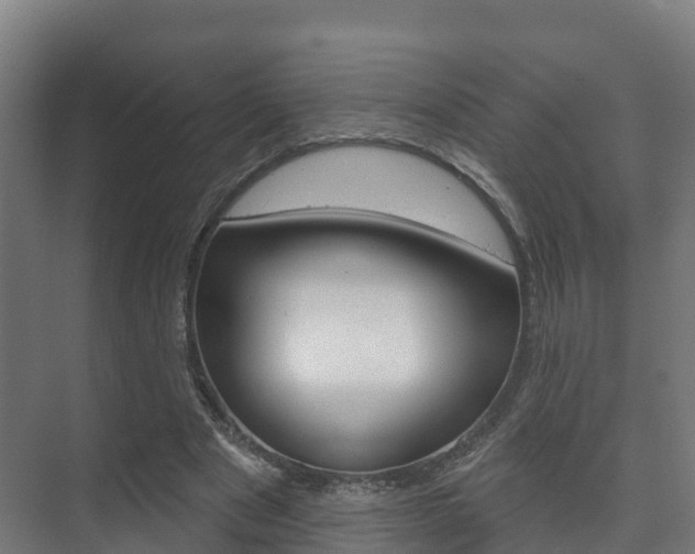 X0000073710489200608031044