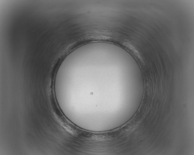 X0000073710490200608031044