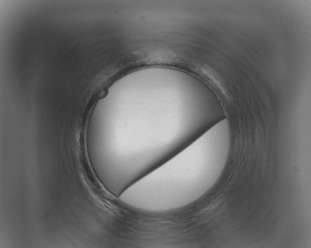 X0000073710491200608031044