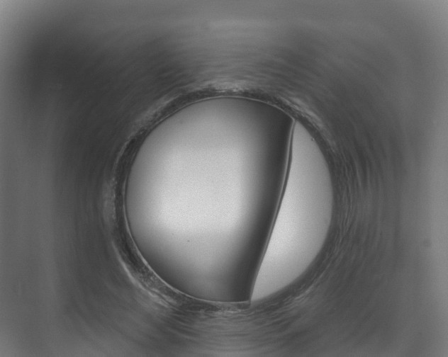 X0000073710492200608031044