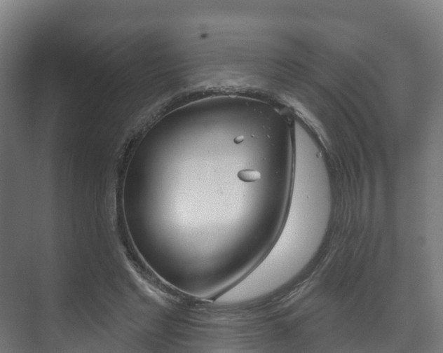 X0000073710493200608031044