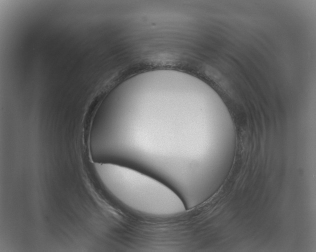 X0000073710494200608031044