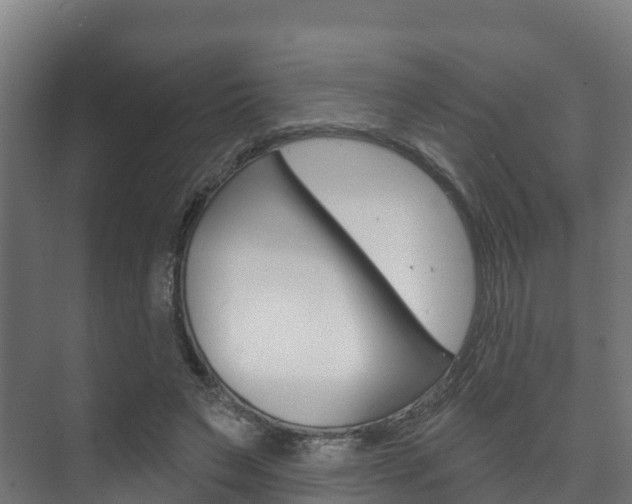 X0000073710495200608031044