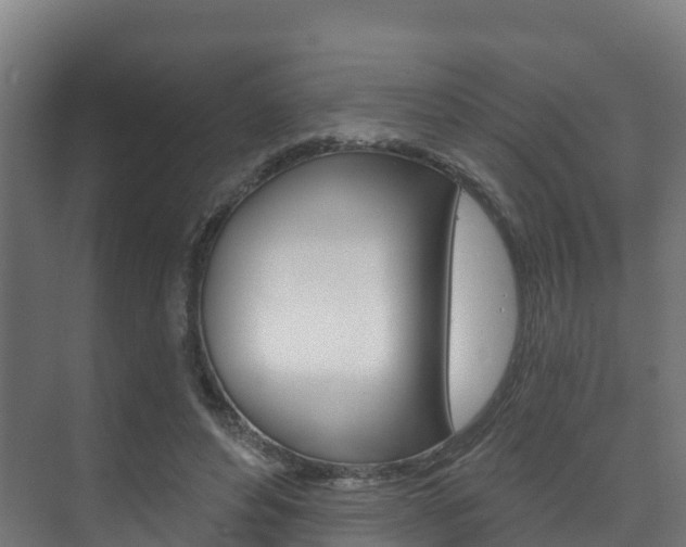 X0000073710496200608031044