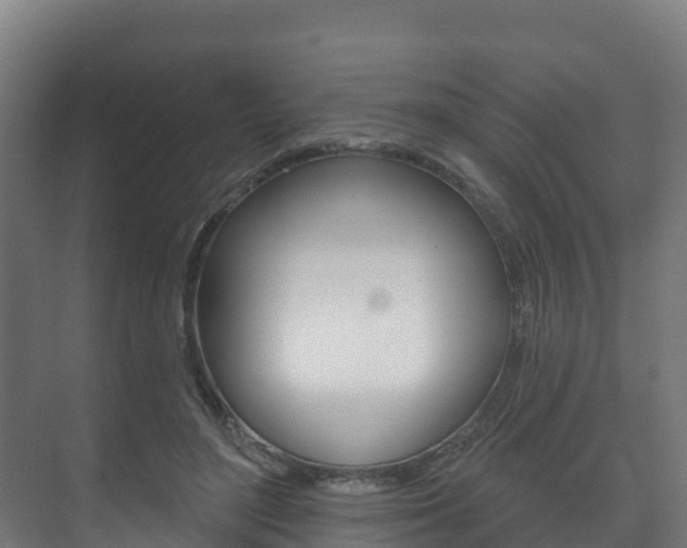 X0000073710500200608031044