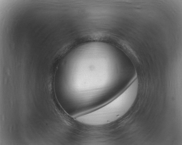 X0000073710505200608031044