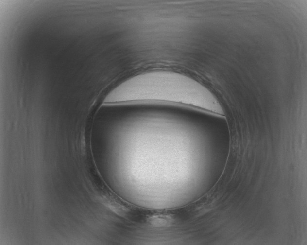 X0000073710508200608031044