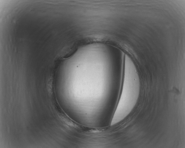 X0000073710509200608031044