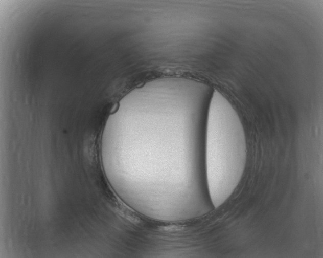 X0000073710511200608031044