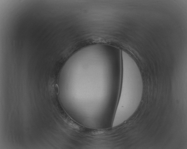 X0000073710513200608031044