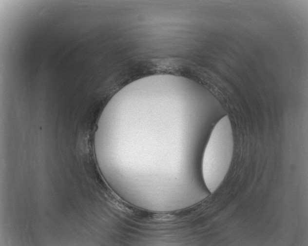 X0000073710514200608031044