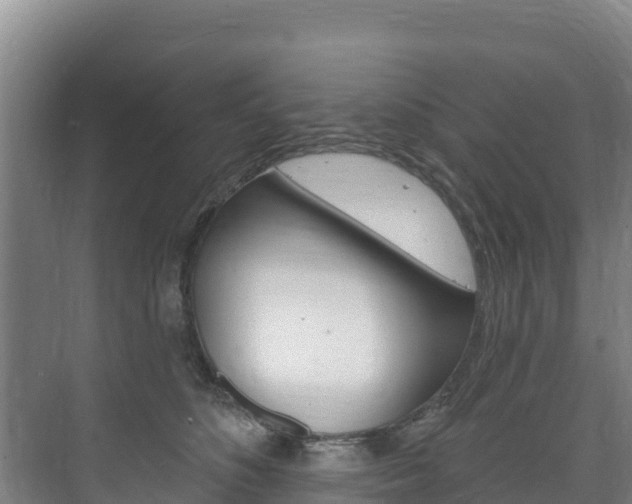 X0000073710516200608031044