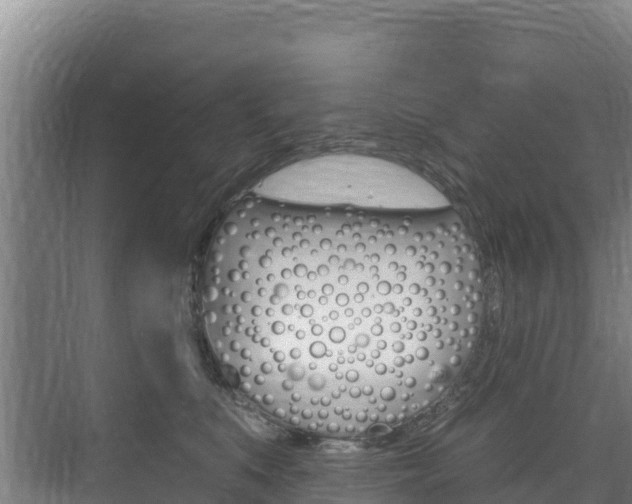 X0000073710519200608031044