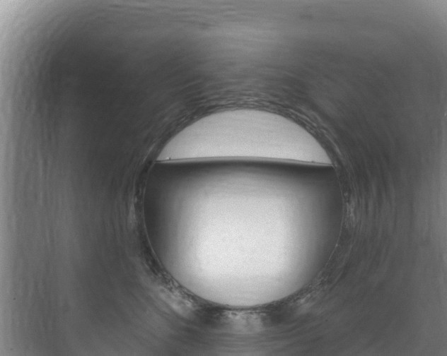 X0000073710520200608031044