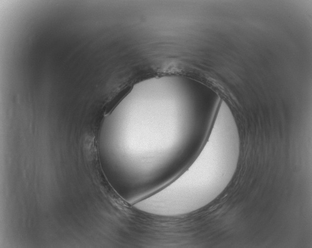 X0000073710521200608031044