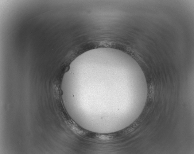 X0000073710522200608031044