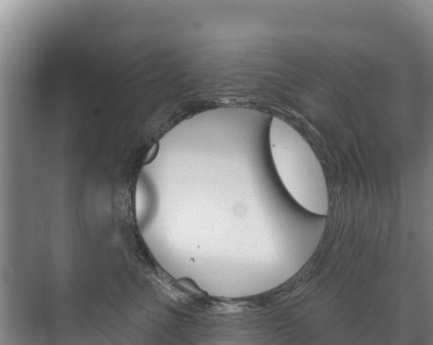 X0000073710523200608031044