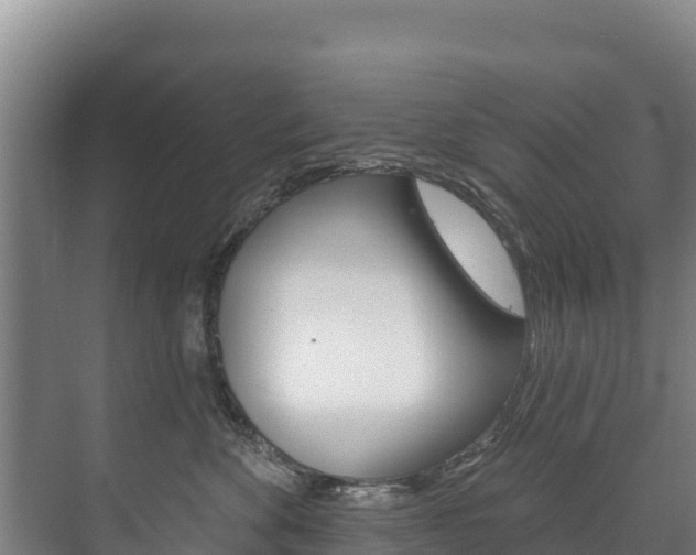 X0000073710524200608031044