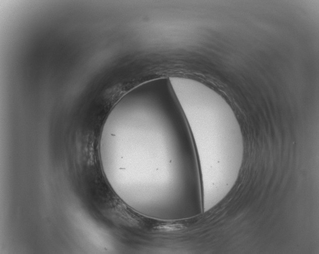 X0000073710525200608031044