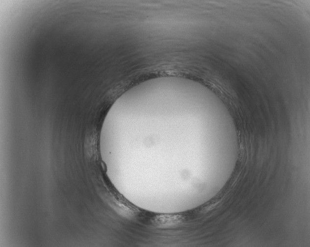 X0000073710526200608031043