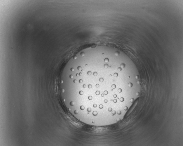 X0000073710527200608031043