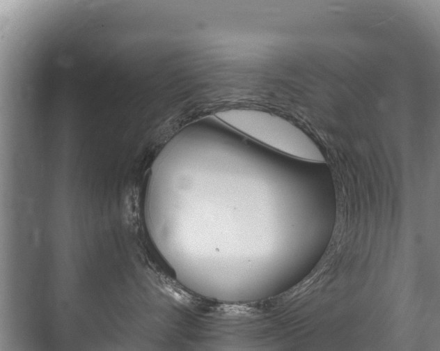 X0000073710528200608031043