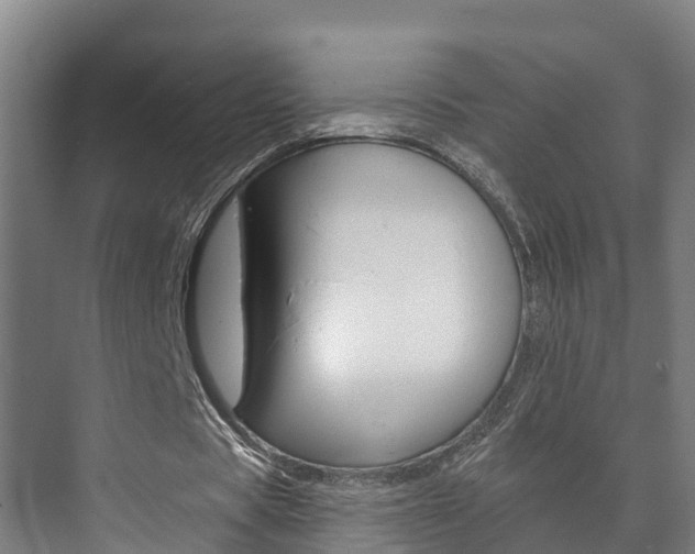 X0000073710529200608031043