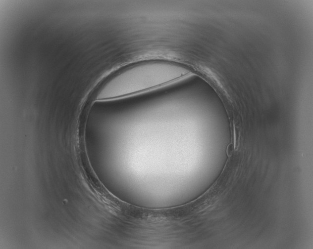 X0000073710531200608031043