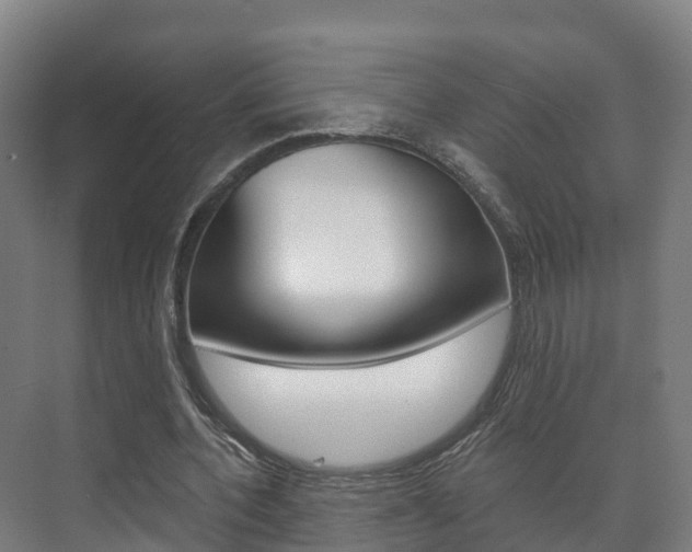 X0000073710532200608031043