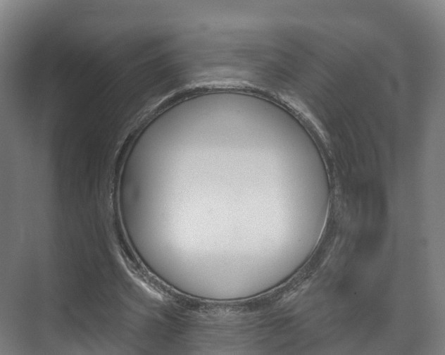 X0000073710533200608031043