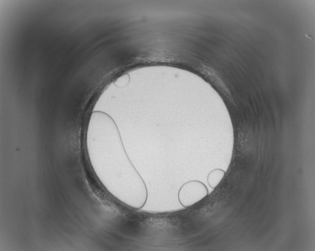 X0000073710534200608031043