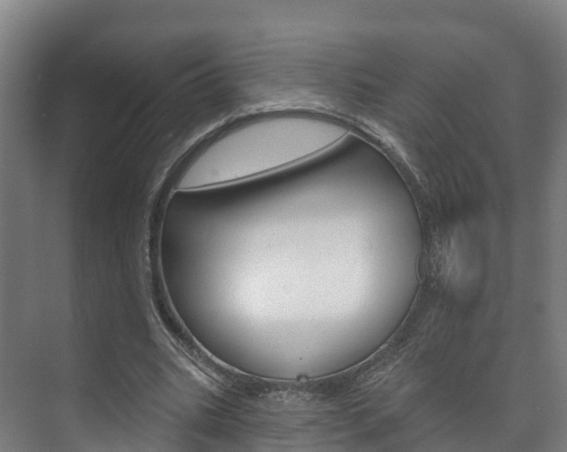 X0000073710535200608031043