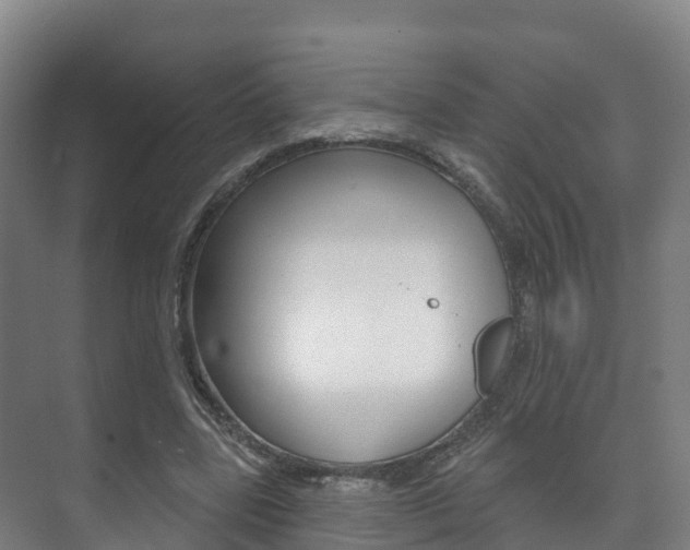 X0000073710539200608031043