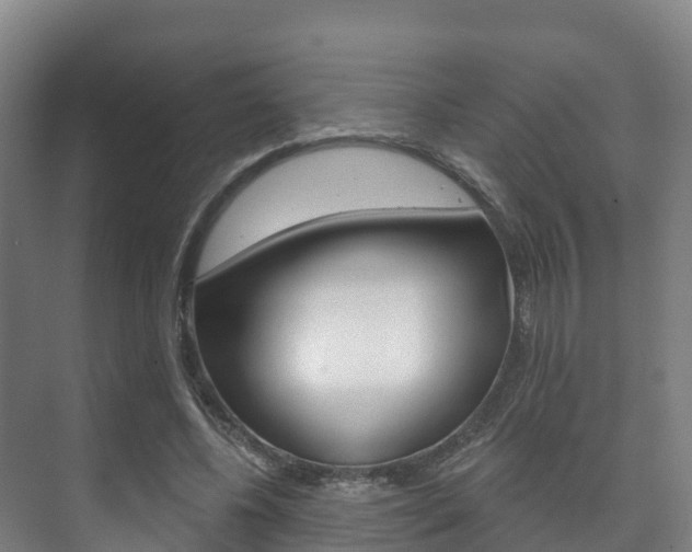 X0000073710540200608031043