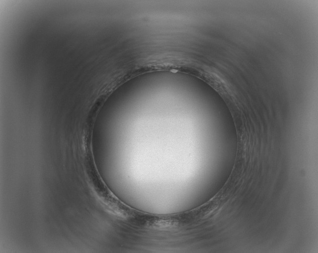 X0000073710546200608031043