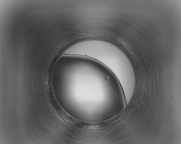 X0000073710548200608031043