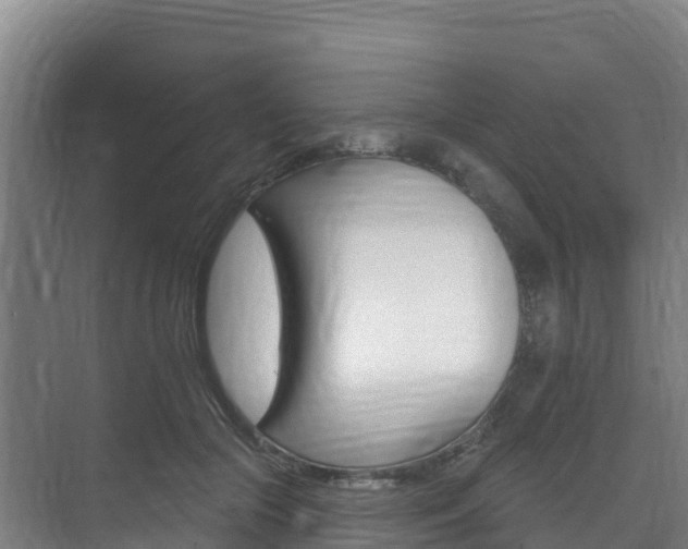 X0000073710553200608031043