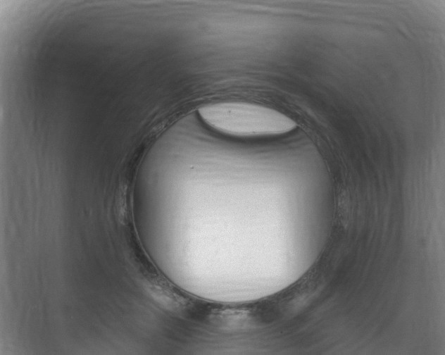 X0000073710554200608031043