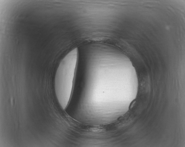 X0000073710555200608031043