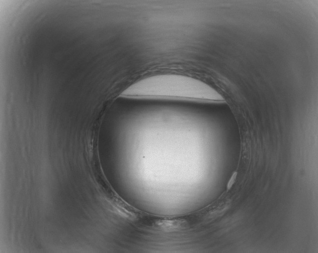 X0000073710558200608031043