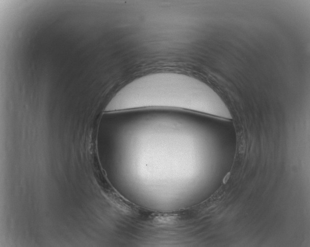 X0000073710560200608031043