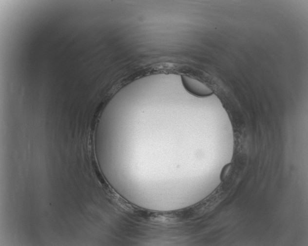 X0000073710561200608031043