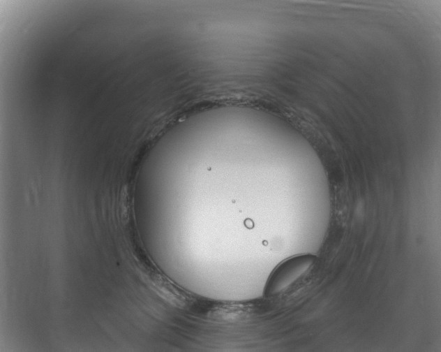 X0000073710563200608031043